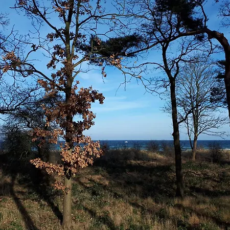 Strandquartett 11 Börgerende-Rethwisch